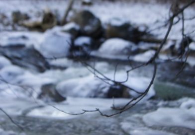 Welcome to Pine River Chalet Owners’ Association